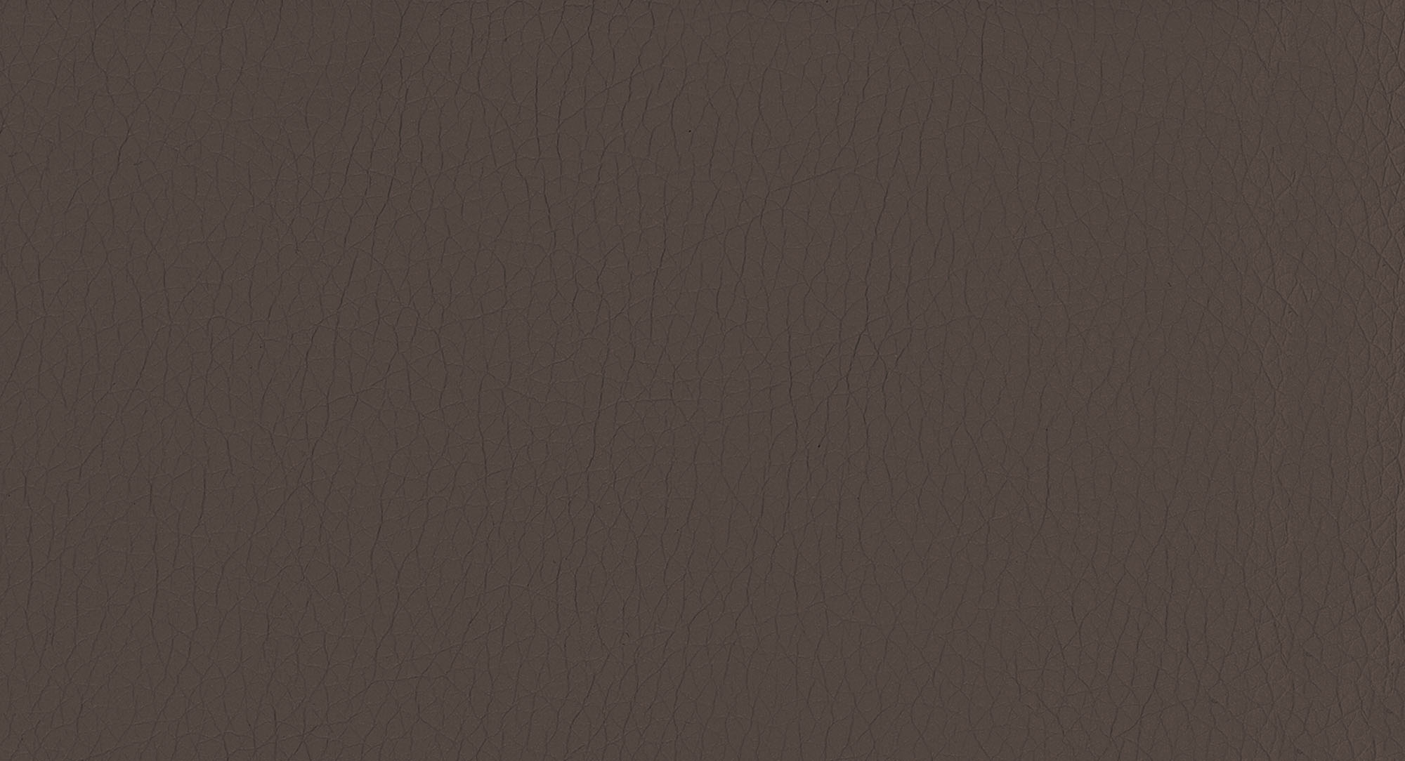 Pulse D207 Coffee 2S